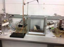 1403bowbreak Fig3 1403bowbreak Fig3