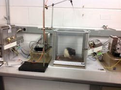 1403bowbreak Fig3 1403bowbreak Fig3