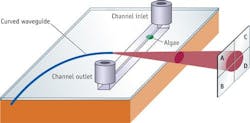 FIGURE 3. A biosensor designed for fast screening, real-time monitoring, and initial classification of algae incorporates both fluidics and optical functions. It was created using FemtoPrinter. FIGURE 3. A biosensor designed for fast screening, real-time monitoring, and initial classification of algae incorporates both fluidics and optical functions. It was created using FemtoPrinter.