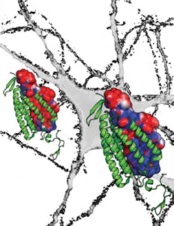 1405bowbreak Fig2 1405bowbreak Fig2