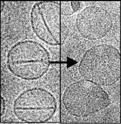 1405bowbreak Fig4 1405bowbreak Fig4