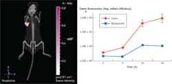 FIGURE 3. HER2Sense is a fluorescently labeled, humanized antibody based on the commercial therapeutic antibody Trastuzumab that specifically targets and binds to Her2+ tumors, such as the Skov-3 ovarian cancer cell line. FIGURE 3. HER2Sense is a fluorescently labeled, humanized antibody based on the commercial therapeutic antibody Trastuzumab that specifically targets and binds to Her2+ tumors, such as the Skov-3 ovarian cancer cell line.