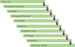 1405bowwepff1 1405bowwepff1