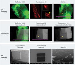 1405bowwepffrontis 1405bowwepffrontis