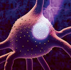 1407bowbreak Fig1 1407bowbreak Fig1