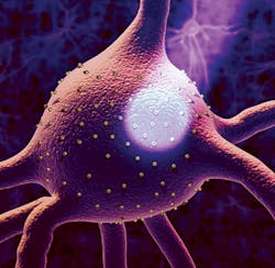 1407bowbreak Fig1 1407bowbreak Fig1