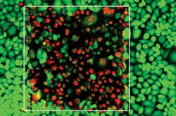 1407bowbreak Fig3 1407bowbreak Fig3