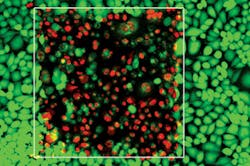 1407bowbreak Fig3 1407bowbreak Fig3