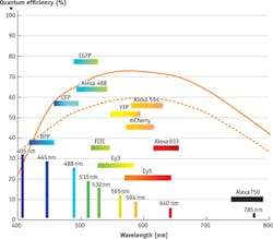 FIGURE 3. Quantum efficiency (QE), a measurement of sensitivity to light, is shown for laser lines and common emission wavelengths important in imaging with scientific CMOS. FIGURE 3. Quantum efficiency (QE), a measurement of sensitivity to light, is shown for laser lines and common emission wavelengths important in imaging with scientific CMOS.