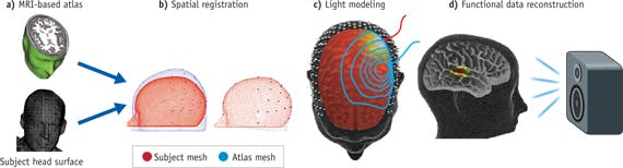 FIGURE 2. For data modeling and registration, DOT methods can use (a, b) either an individual subject&apos;s MRI-based anatomy, or else an atlas head model that is mathematically registered to the person&apos;s head shape. (c) The light modeling panel shows sensitivity of a source (red) and detector (blue) with the color map and contours (respectively). (d) The far right image shows DOT-detected brain activity in auditory cortex in response to hearing words.