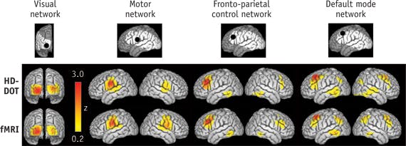 FIGURE 4. As part of an effort to validate data quality of HD-DOT against fMRI, we generated maps of &apos;resting-state&apos; activity in the relatively simple visual and motor processing networks (left) and the more complex networks that perform cognitive functions such as control over processing and self-reflection (right).