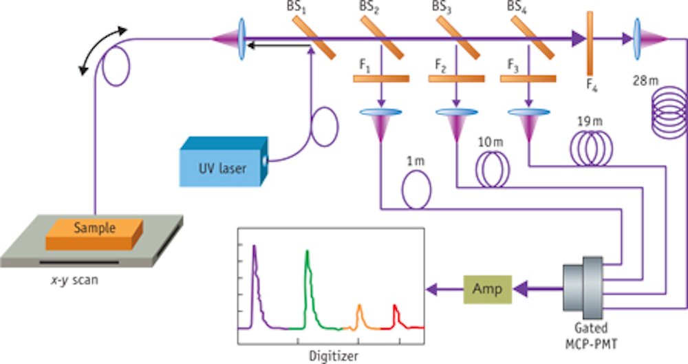 FLUORESCENCE SPECTROSCOPY/BIOMEDICAL IMAGING Fluorescence 'lifetime' moves toward clinical