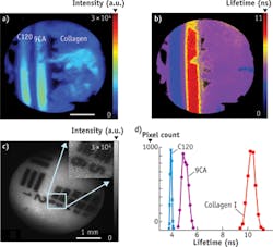 FIGURE 4. A performance evaluation of a fluorescence lifetime imaging microscopy system using fluorophores and biomolecules shows (a) fluorescence intensity images and (b) average lifetime images of the coumarin 120 (C120) and 9-cyanoanthracene (9CA) dye solutions in capillaries placed on top of a dry collagen bed. The images were acquired using the 460/50 nm filter. (c) Image resolution was evaluated using a USAF test chart at a 0.2 ns gating time. (d) Fluorescence lifetime histograms of the C120, 9CA, and collagen correspond to images in (b). FIGURE 4. A performance evaluation of a fluorescence lifetime imaging microscopy system using fluorophores and biomolecules shows (a) fluorescence intensity images and (b) average lifetime images of the coumarin 120 (C120) and 9-cyanoanthracene (9CA) dye solutions in capillaries placed on top of a dry collagen bed. The images were acquired using the 460/50 nm filter. (c) Image resolution was evaluated using a USAF test chart at a 0.2 ns gating time. (d) Fluorescence lifetime histograms of the C120, 9CA, and collagen correspond to images in (b).