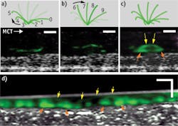 1409bowchuf1 1409bowchuf1