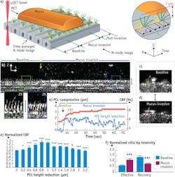 1409bowchuf5 1409bowchuf5