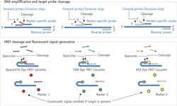 The first at-home, noninvasive test for colorectal cancer, by Exact Sciences, analyzes DNA and biomarkers using fluorescence. The first at-home, noninvasive test for colorectal cancer, by Exact Sciences, analyzes DNA and biomarkers using fluorescence.