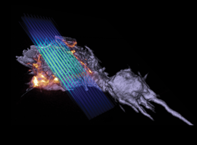 Lattice light-sheet microscopy quickly collects high-resolution images while minimizing damage to cells.
