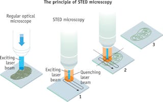 FIGURE 2. STED uses two laser beams: one makes fluorescent molecules glow, while the other cancels out all fluorescence except for that in a nanometer-sized volume. The image is generated by scanning the specimen nanometer by nanometer.