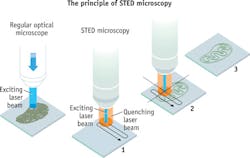 FIGURE 2. STED uses two laser beams: one makes fluorescent molecules glow, while the other cancels out all fluorescence except for that in a nanometer-sized volume. The image is generated by scanning the specimen nanometer by nanometer. FIGURE 2. STED uses two laser beams: one makes fluorescent molecules glow, while the other cancels out all fluorescence except for that in a nanometer-sized volume. The image is generated by scanning the specimen nanometer by nanometer.
