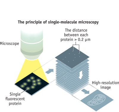 FIGURE 4. In single-molecule microscopy, fluorescence of individual molecules is switched on and off while the area is imaged multiple times. Stacking the images produces the super-resolved result.
