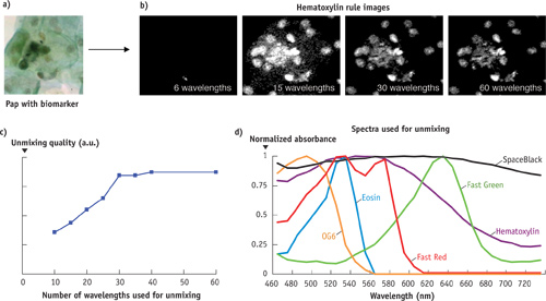 FIGURE 1. The number of wavelengths used in multispectral analysis impacts spectral unmixing image quality: full-color image (a), primary stain images vs. number of wavelengths (b), relative unmixing quality obtained by quantifying the image contrast vs. number of wavelengths (c), and spectra used for the unmixing (d).