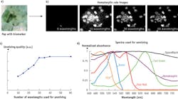 FIGURE 1. The number of wavelengths used in multispectral analysis impacts spectral unmixing image quality: full-color image (a), primary stain images vs. number of wavelengths (b), relative unmixing quality obtained by quantifying the image contrast vs. number of wavelengths (c), and spectra used for the unmixing (d). FIGURE 1. The number of wavelengths used in multispectral analysis impacts spectral unmixing image quality: full-color image (a), primary stain images vs. number of wavelengths (b), relative unmixing quality obtained by quantifying the image contrast vs. number of wavelengths (c), and spectra used for the unmixing (d).