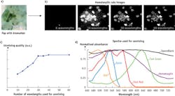 FIGURE 1. The number of wavelengths used in multispectral analysis impacts spectral unmixing image quality: full-color image (a), primary stain images vs. number of wavelengths (b), relative unmixing quality obtained by quantifying the image contrast vs. number of wavelengths (c), and spectra used for the unmixing (d). FIGURE 1. The number of wavelengths used in multispectral analysis impacts spectral unmixing image quality: full-color image (a), primary stain images vs. number of wavelengths (b), relative unmixing quality obtained by quantifying the image contrast vs. number of wavelengths (c), and spectra used for the unmixing (d).