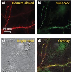 1411lfwnewsf4 1411lfwnewsf4