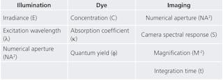 TABLE 1. Primary system parameters affecting signal-to-background ratio (SBR) and signal-to-noise ratio (SNR) for fluorescence microscope systems. These parameters are common to all fluorescence microscope systems.