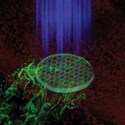 1501bowbreak Fig4 1501bowbreak Fig4