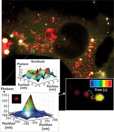 FIGURE 2. This live human U2OS osteosarcoma cell shows dual-color, super-resolved, single-particle tracking. A red fluorescence-labeled microRNA can be tracked in a live cell (right-hand inset) by fitting time-lapsed images of its point-spread function with two-dimensional Gaussian distributions with low residuals (left-hand inset), determining the particle&apos;s location over time with super accuracy as it approaches a processing body (green).