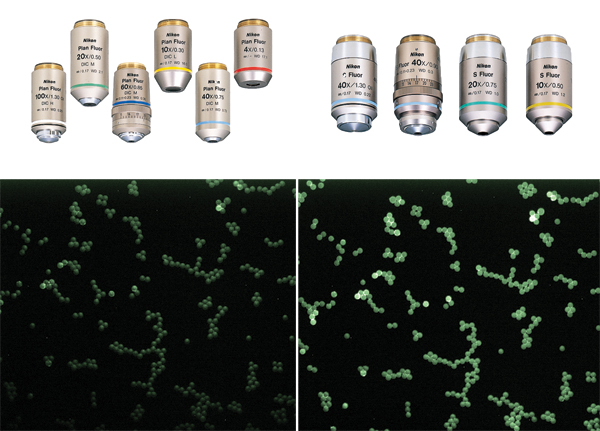 Dragon Green beads imaged with a 10x/0.3NA Nikon CFI Plan Fluor objective (left column), and the same beads imaged with a 10/x0.5NA Nikon Super Fluor objective (right column).