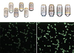 Dragon Green beads imaged with a 10x/0.3NA Nikon CFI Plan Fluor objective (left column), and the same beads imaged with a 10/x0.5NA Nikon Super Fluor objective (right column). Dragon Green beads imaged with a 10x/0.3NA Nikon CFI Plan Fluor objective (left column), and the same beads imaged with a 10/x0.5NA Nikon Super Fluor objective (right column).