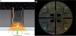 FIGURE 2. In Pacific Biosciences' RS II, each zero-mode waveguide (ZMW) contains a single polymerase enzyme (a). Up to 150,000 ZMWs are patterned on a SMRT chip and are monitored simultaneously, in real time, by dividing the lasers into that many individual diffraction-limited spots targeted to the individual ZMWs (b). FIGURE 2. In Pacific Biosciences' RS II, each zero-mode waveguide (ZMW) contains a single polymerase enzyme (a). Up to 150,000 ZMWs are patterned on a SMRT chip and are monitored simultaneously, in real time, by dividing the lasers into that many individual diffraction-limited spots targeted to the individual ZMWs (b).