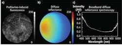 FIGURE 2. The diffuse reflectance and spectroscopic microendoscope (DRSME) provides three modalities: a proflavine-induced fluorescence image of healthy, murine colonic epithelium (a); a diffuse reflectance profile of an optical phantom—used to simulate a tissue's properties—that was color-mapped using Matlab (b); and a diffuse reflectance spectrum of the phantom (c). The spectrum here was normalized and calibrated with a spectralon-based diffuse reflectance standard from Ocean Optics. FIGURE 2. The diffuse reflectance and spectroscopic microendoscope (DRSME) provides three modalities: a proflavine-induced fluorescence image of healthy, murine colonic epithelium (a); a diffuse reflectance profile of an optical phantom—used to simulate a tissue's properties—that was color-mapped using Matlab (b); and a diffuse reflectance spectrum of the phantom (c). The spectrum here was normalized and calibrated with a spectralon-based diffuse reflectance standard from Ocean Optics.