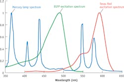 FIGURE 1. The peaks of the mercury spectrum align well with the excitation of Texas Red, which accounts for the fluorophore's popularity. While green fluorescent protein (GFP)'s excitation spectrum overlaps a weaker portion of the mercury spectrum, GFP is nonetheless popular because of its advantages in biological experiments. An ideal source for fluorescence would offer adjustable high power across the visible, near-UV, and far-red. FIGURE 1. The peaks of the mercury spectrum align well with the excitation of Texas Red, which accounts for the fluorophore's popularity. While green fluorescent protein (GFP)'s excitation spectrum overlaps a weaker portion of the mercury spectrum, GFP is nonetheless popular because of its advantages in biological experiments. An ideal source for fluorescence would offer adjustable high power across the visible, near-UV, and far-red.