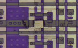 1503ils F2 Fig1 1503ils F2 Fig1