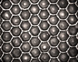 1511ils Hou 1 1511ils Hou 1