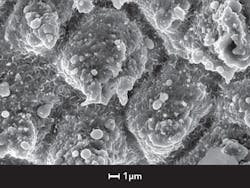 1511ils Hou F11 1511ils Hou F11