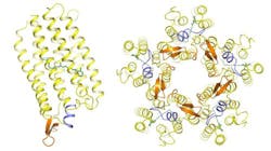 15 04 09kr2 Aminosaeure Web 15 04 09kr2 Aminosaeure Web