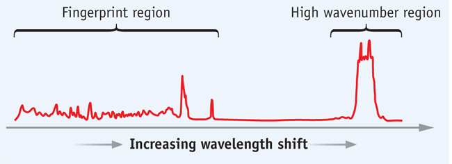 FIGURE 1. A Raman spectrum of cholesterol delineates the fingerprint and high wavenumber Raman shift regions. If the spectrum of the excitation light were included, it would be on the far-left side of the plot and would be several orders of magnitude larger than this spectrum.
