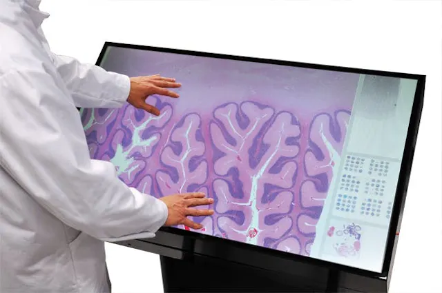 Microscope Using Touch Gigantic touch-screen microscope enables collaborative research | Laser ...