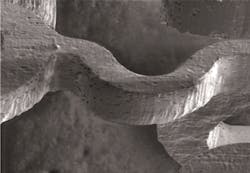 Nitinol Stent (2) Nitinol Stent (2)