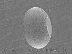 Argus Elephant Zerotaperhole 3d4ef3b921 300width Argus Elephant Zerotaperhole 3d4ef3b921 300width