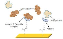 Blood Protein Fig2 Blood Protein Fig2