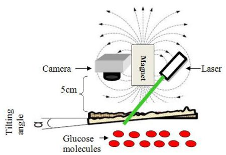 Boex Glucose Watch Fig1 2 Web