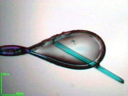 Bow Mturquoise2 Fig3 Web Bow Mturquoise2 Fig3 Web