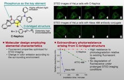 C Naphox En 2 Web C Naphox En 2 Web