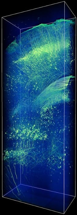 Clarity Web Clarity Web