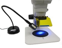 Content Dam Bow En Articles 2013 11 Fluorescence Adapter For Stereo Microscopes By Nightsea Leftcolumn Article Thumbnailimage Stereo Microscope Fluorescence Adapter Sfa Add On From Nightsea